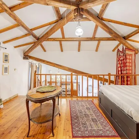 Rome's Hidden Gem アパート